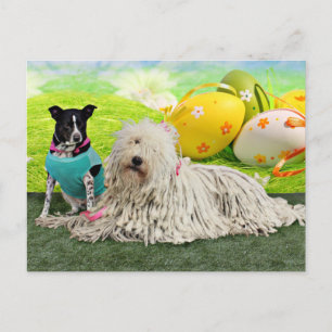 Cartes Pour Fêtes Annuelles Easter - Komondor - Zoey - Basenji X - Jasper
