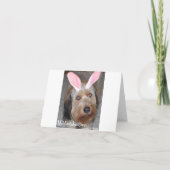 Cartes Pour Fêtes Annuelles Easter YorkiePoo - Yorkshire Terrier Poodle Mix (Dos)