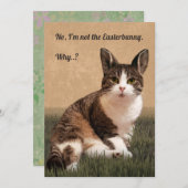 Cartes Pour Fêtes Annuelles 🐰-Easterbunny 😸 (Devant / Derrière)