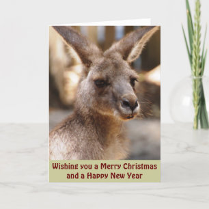 Cartes Pour Fêtes Annuelles Eastern Grey Kangaroo Xmas