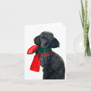 Cartes Pour Fêtes Annuelles Écharpe noire de rouge de renne de chien de