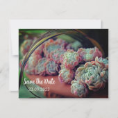 Cartes Pour Fêtes Annuelles Echeveria Rose Succulent Enregistrer la date (Devant)