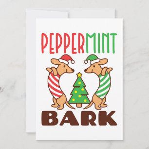 Cartes Pour Fêtes Annuelles Écorce de menthe poivrée Noël mignon dachshund dox