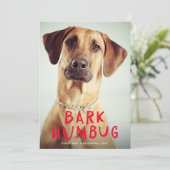Cartes Pour Fêtes Annuelles Écorce Humbug mignonne Funny Pet Chien Photo (Debout devant)
