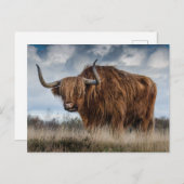 Cartes Pour Fêtes Annuelles Écossais (Devant / Derrière)