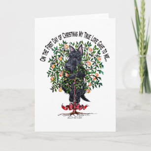 Cartes Pour Fêtes Annuelles Ecosse dans un arbre à poires