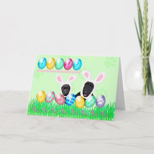 Cartes Pour Fêtes Annuelles Ecosse Pâques (Devant)