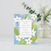 Cartes Pour Fêtes Annuelles Écriture 2 Pierre 3:18 Fleurs Nicotiana (Debout devant)