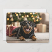 Cartes Pour Fêtes Annuelles Écriture manuscrite Joyeux Howlidays Chien Noël 4  (Dos)