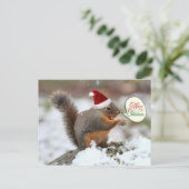Cartes Pour Fêtes Annuelles Écureuil de Noël en neige (Debout devant)
