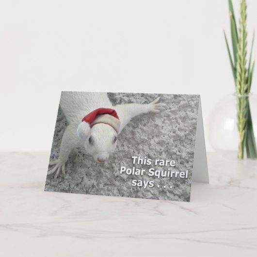 Cartes Pour Fêtes Annuelles Écureuil de Noël rare (Devant)