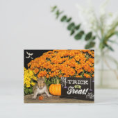 Cartes Pour Fêtes Annuelles Écureuil d'Halloween (Debout devant)