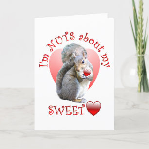 Cartes Pour Fêtes Annuelles Écureuil Valentine