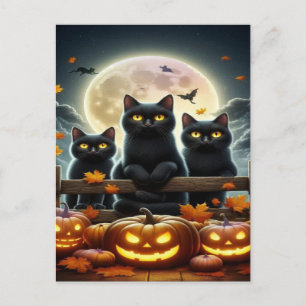 Cartes Pour Fêtes Annuelles Éffrayant Black Cat Halloween Wallpaper — 2025 Nui