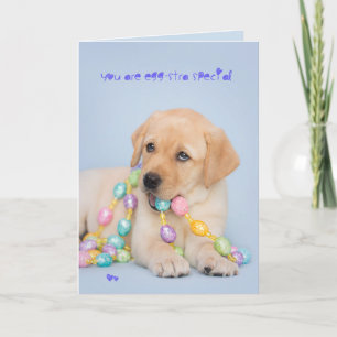 Cartes Pour Fêtes Annuelles Eggstra special yellow labrador puppy easter