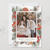 Cartes Pour Fêtes Annuelles Élégant agrumes botaniques (Devant)