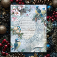 Elégant Noël Bluebirds et collection de musique