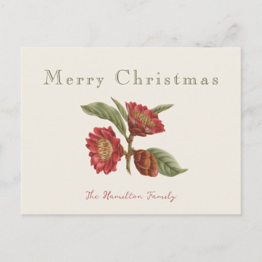 Cartes Pour Fêtes Annuelles Élégant Noël Floral Rouge et Vert (Devant)