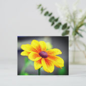 Cartes Pour Fêtes Annuelles Élégante Fleur orange jaune simple Dahlia (Debout devant)