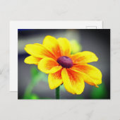 Cartes Pour Fêtes Annuelles Élégante Fleur orange jaune simple Dahlia (Devant / Derrière)