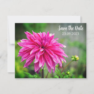 Cartes Pour Fêtes Annuelles Élégante fleur rose dahlia Enregistrer la date