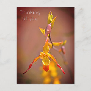 Cartes Pour Fêtes Annuelles Elégante Orange Jaune Orchidée Fleur penser de vou