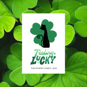 Cartes Pour Fêtes Annuelles Élégante Photo Simple de Trèfle Saint-Patrick