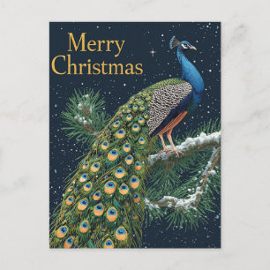 Cartes Pour Fêtes Annuelles Élégante Pine de paon Branche Joyeux Noël