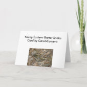 Cartes Pour Fêtes Annuelles Eléments de coordination des serpents-garets de l' (Dos)