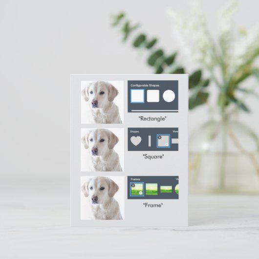 Cartes Pour Fêtes Annuelles Elements - Frames, Shapes, SVG Masking Test (Debout devant)