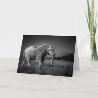 Cartes Pour Fêtes Annuelles Eléphant dans la Pan de Xai, Botswana
