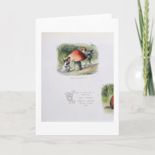 Cartes Pour Fêtes Annuelles Elf à la recherche d'une fée, illustration de