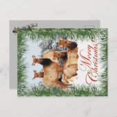 Cartes Pour Fêtes Annuelles Elk Noël (Devant / Derrière)