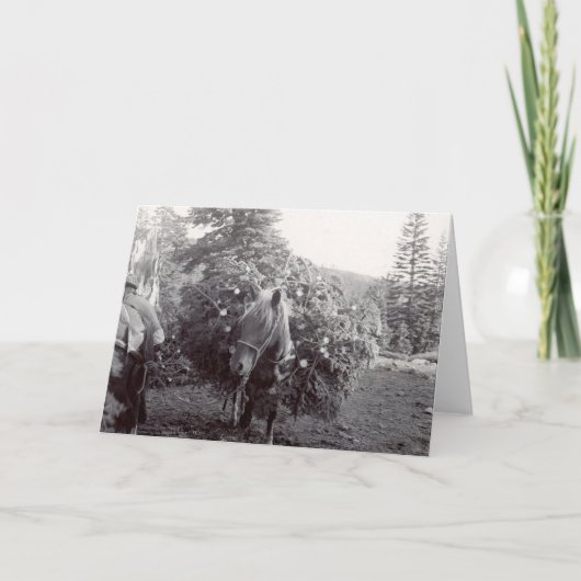 Cartes Pour Fêtes Annuelles Emballage de Noël (Devant)