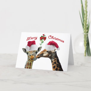 Cartes Pour Fêtes Annuelles Embrasser les girafes de Noël sous Mistletoe