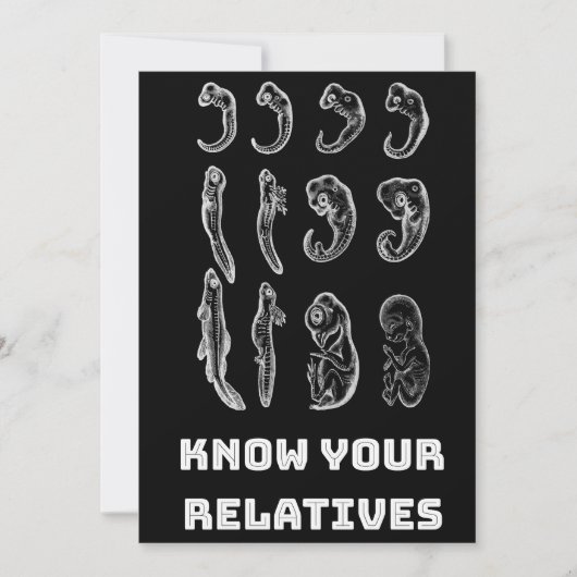 Cartes Pour Fêtes Annuelles Embryogenèse de l'évolution (Devant)