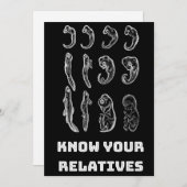 Cartes Pour Fêtes Annuelles Embryogenèse de l'évolution (Devant / Derrière)