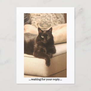 Cartes Pour Fêtes Annuelles ...en attente...Carte postales