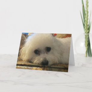 Cartes Pour Fêtes Annuelles "En attente de l'arrivée de Père Noël"