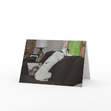 En attente de Père Noël