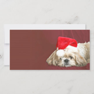 Cartes Pour Fêtes Annuelles En attente de Père Noël