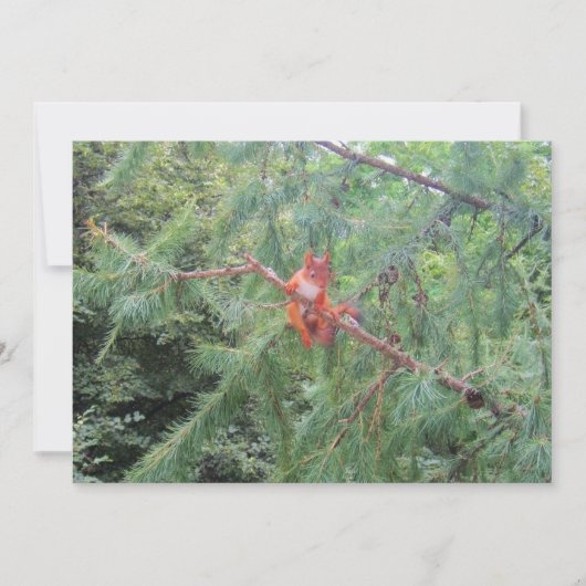 Cartes Pour Fêtes Annuelles En marchant là (Devant)