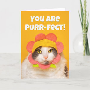 Cartes Pour Fêtes Annuelles Encouragement Cute Chat dans Flower Casquette Humo