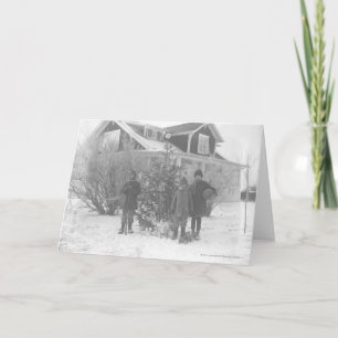 Cartes Pour Fêtes Annuelles Enfants à l'extérieur du sapin de Noël