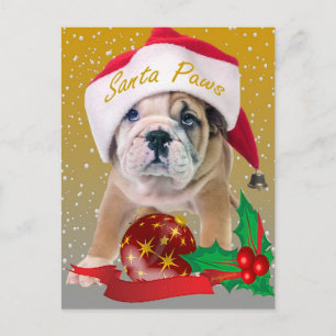 Cartes Pour Fêtes Annuelles English Bulldog Puppy Christmas Cards