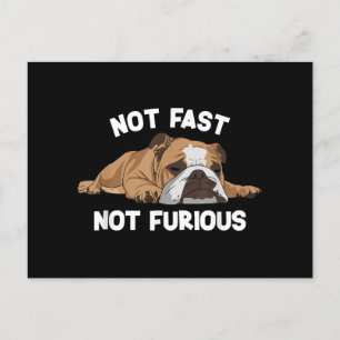 Cartes Pour Fêtes Annuelles English Bulldog Sleeping Not Fast Not Furious Funn