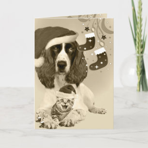 Cartes Pour Fêtes Annuelles English Springer Spaniel Xmas