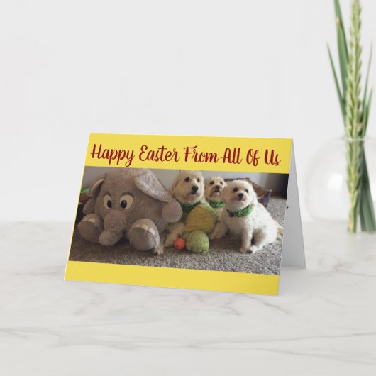 CARTES POUR FÊTES ANNUELLES ENVOYER "CHIENS" ET PAS UN CHIEN À **EASTER** (Devant)