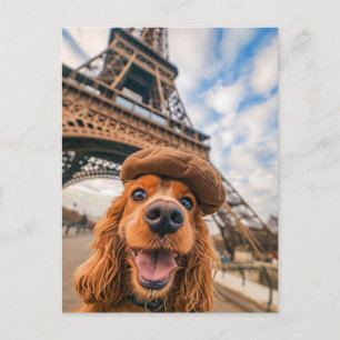 Cartes Pour Fêtes Annuelles Épagneul King Charles à Paris