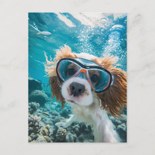 Cartes Pour Fêtes Annuelles Épagneul King Charles Cocker conduisant dans l'océ